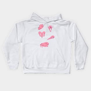 Pink Skulls Kids Hoodie